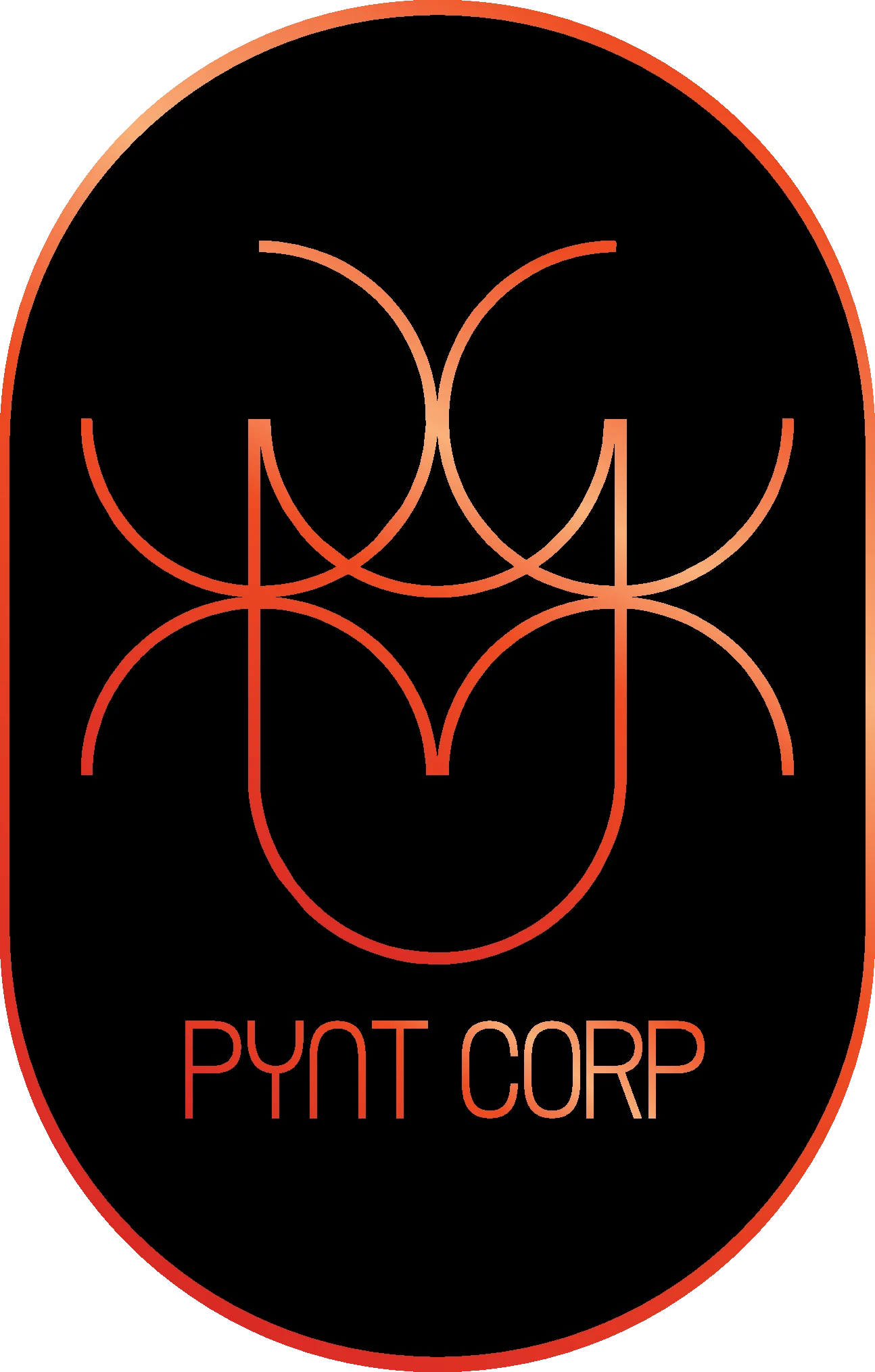 Pynt Corp